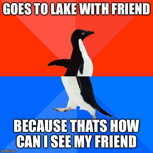 Socially Awesome Awkward Penguin | GOES TO LAKE WITH FRIEND; BECAUSE THATS HOW CAN I SEE MY FRIEND | image tagged in memes,socially awesome awkward penguin,funny | made w/ Imgflip meme maker