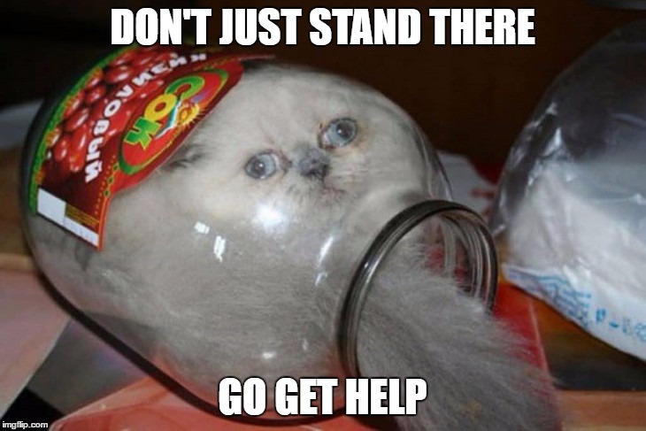 go get help | DON'T JUST STAND THERE; GO GET HELP | image tagged in go get help,don't just stand ther,cat stuck in jar | made w/ Imgflip meme maker