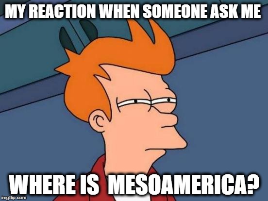 Futurama Fry Meme | MY REACTION WHEN SOMEONE ASK ME; WHERE IS  MESOAMERICA? | image tagged in memes,futurama fry | made w/ Imgflip meme maker