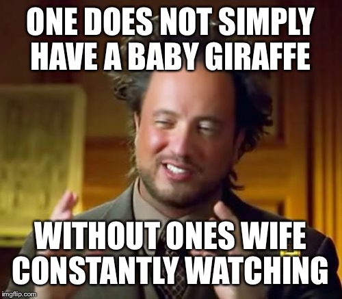 Ancient Aliens | ONE DOES NOT SIMPLY HAVE A BABY GIRAFFE; WITHOUT ONES WIFE CONSTANTLY WATCHING | image tagged in memes,ancient aliens | made w/ Imgflip meme maker