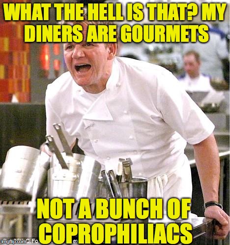 When the food looks like....
(revised) | WHAT THE HELL IS THAT?
MY DINERS ARE GOURMETS; NOT A BUNCH OF COPROPHILIACS | image tagged in memes,chef gordon ramsay | made w/ Imgflip meme maker