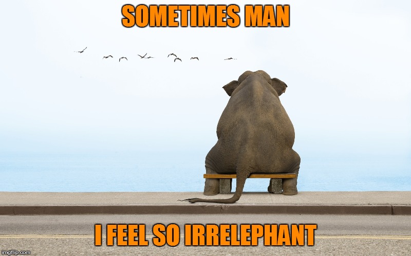Text by the creator of Pete and Repeat: Ms.TammyFaye | SOMETIMES MAN; I FEEL SO IRRELEPHANT | image tagged in memes,tammyfaye,elephant | made w/ Imgflip meme maker