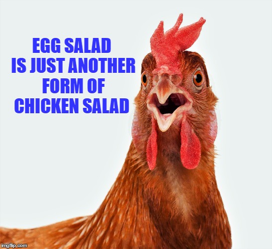 Chicken |  EGG SALAD IS JUST ANOTHER FORM OF CHICKEN SALAD | image tagged in chicken,chicken or the egg,salad,surprised chicken | made w/ Imgflip meme maker
