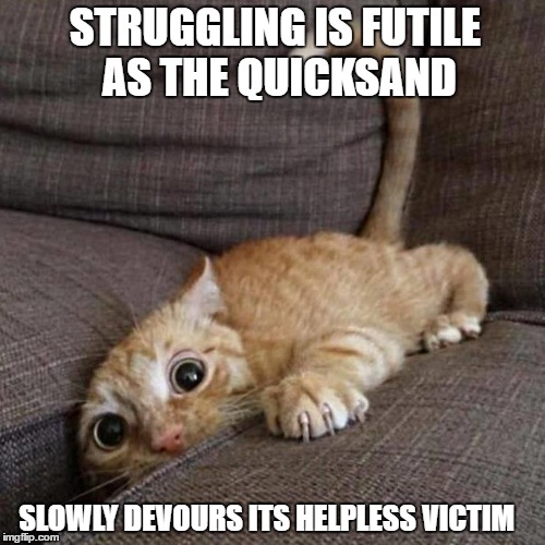 that sinking feeling  | STRUGGLING IS FUTILE AS THE QUICKSAND; SLOWLY DEVOURS ITS HELPLESS VICTIM | image tagged in cute kitten,kitties | made w/ Imgflip meme maker