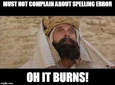 Life of Brian  | MUST NOT COMPLAIN ABOUT SPELLING ERROR OH IT BURNS! | image tagged in life of brian | made w/ Imgflip meme maker