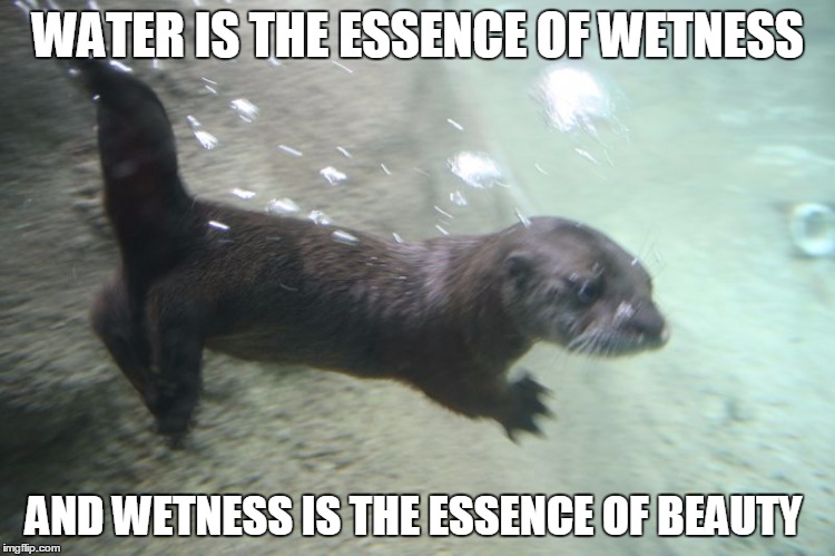 WATER IS THE ESSENCE OF WETNESS; AND WETNESS IS THE ESSENCE OF BEAUTY | image tagged in otter,zoolander | made w/ Imgflip meme maker