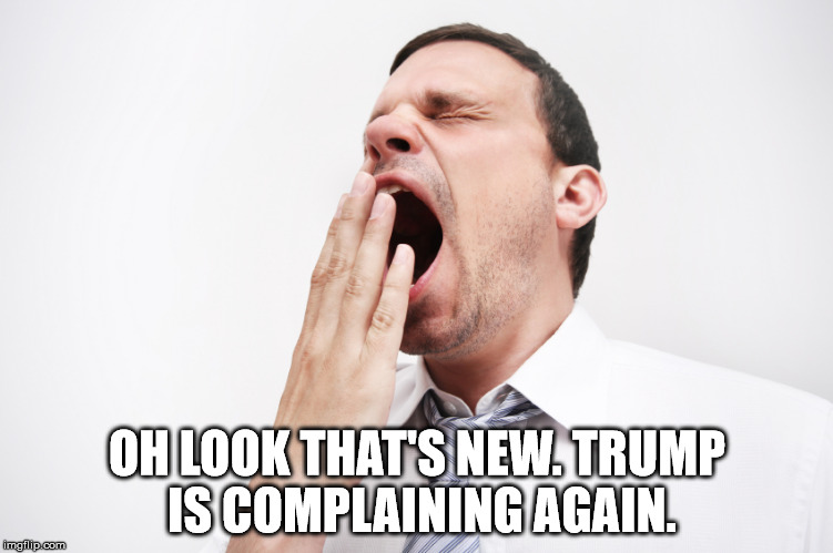 yawn | OH LOOK THAT'S NEW. TRUMP IS COMPLAINING AGAIN. | image tagged in yawn | made w/ Imgflip meme maker
