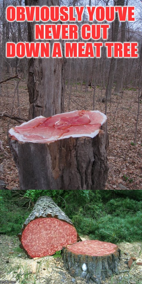 OBVIOUSLY YOU'VE NEVER CUT DOWN A MEAT TREE | made w/ Imgflip meme maker