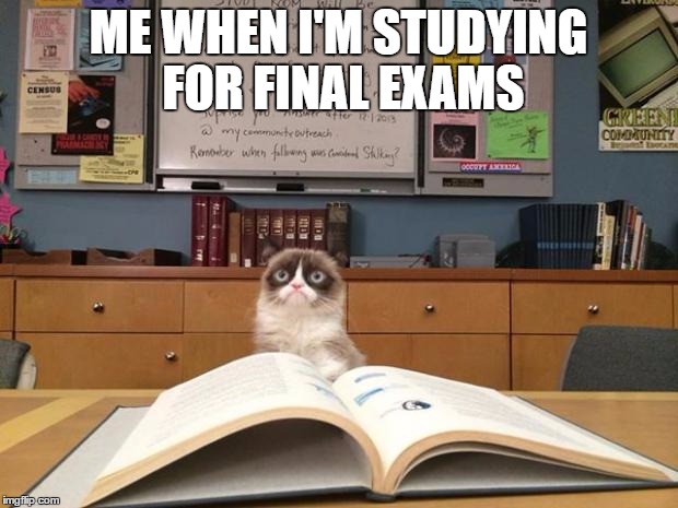 Grumpy cat studying | ME WHEN I'M STUDYING FOR FINAL EXAMS | image tagged in grumpy cat studying | made w/ Imgflip meme maker