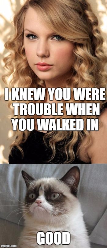 Grumpy cat is trouble | I KNEW YOU WERE TROUBLE WHEN YOU WALKED IN; GOOD | image tagged in grumpy cat on taylor swift as nyc's  global welcome ambassador | made w/ Imgflip meme maker