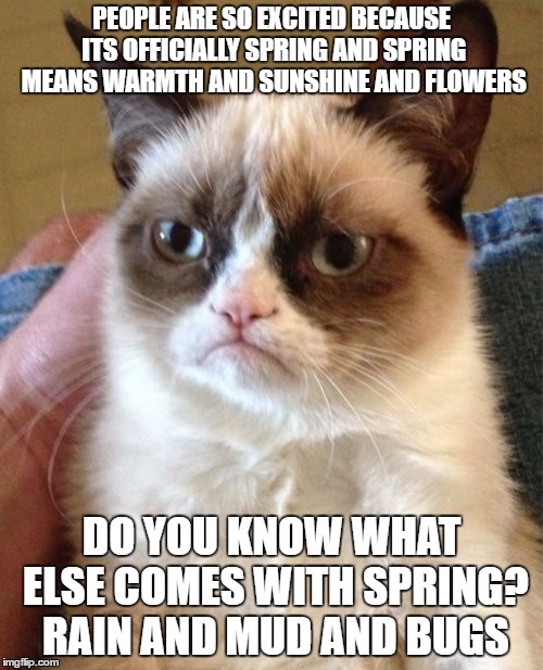 Grumpy Cat Meme | PEOPLE ARE SO EXCITED BECAUSE ITS OFFICIALLY SPRING AND SPRING MEANS WARMTH AND SUNSHINE AND FLOWERS; DO YOU KNOW WHAT ELSE COMES WITH SPRING? RAIN AND MUD AND BUGS | image tagged in memes,grumpy cat | made w/ Imgflip meme maker