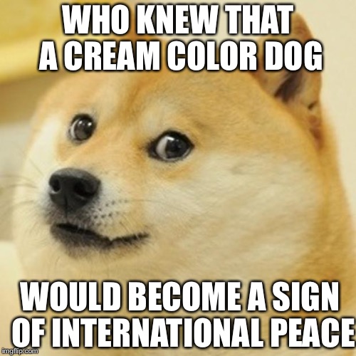Doge | WHO KNEW THAT A CREAM COLOR DOG; WOULD BECOME A SIGN OF INTERNATIONAL PEACE | image tagged in memes,doge | made w/ Imgflip meme maker