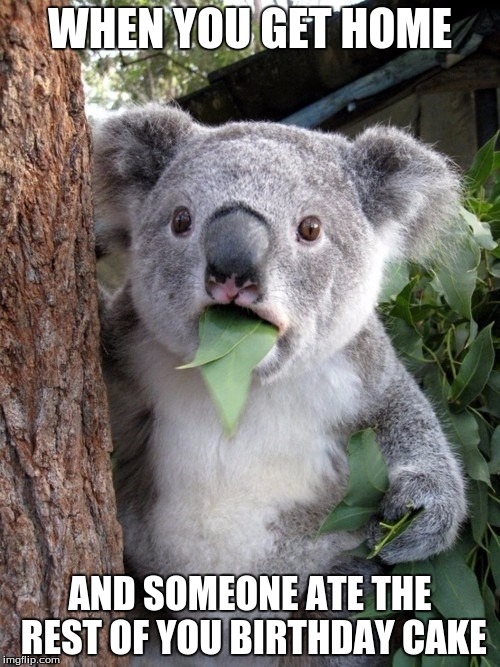 Surprised Koala | WHEN YOU GET HOME; AND SOMEONE ATE THE REST OF YOU BIRTHDAY CAKE | image tagged in memes,surprised coala | made w/ Imgflip meme maker