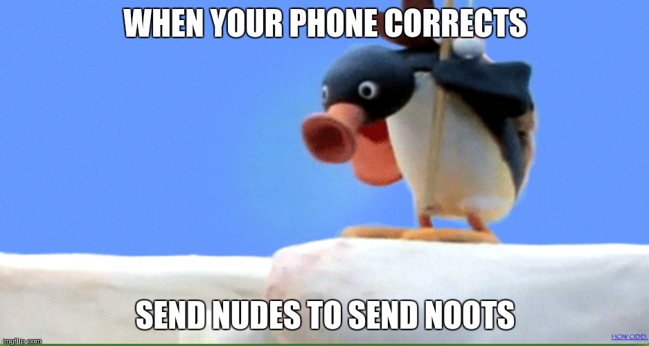 WHEN YOUR PHONE CORRECTS; SEND NUDES TO SEND NOOTS | image tagged in pingu | made w/ Imgflip meme maker