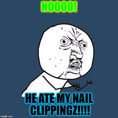 Y U No | NOOOO! HE ATE MY NAIL CLIPPINGZ!!!! | image tagged in memes,y u no | made w/ Imgflip meme maker