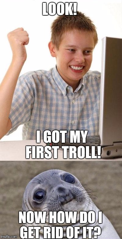 It was all fun and games, but... Seriously, go home now | LOOK! I GOT MY FIRST TROLL! NOW HOW DO I GET RID OF IT? | image tagged in troll,first day on the internet kid,awkward moment sealion | made w/ Imgflip meme maker