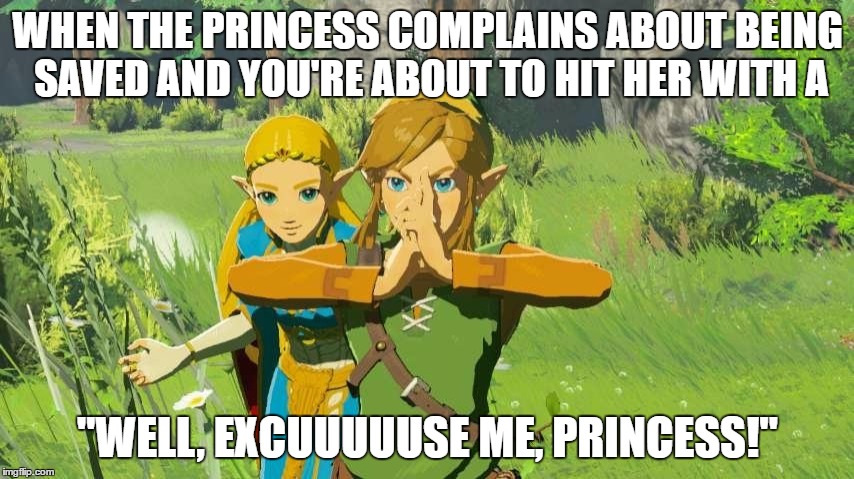 WHEN THE PRINCESS COMPLAINS ABOUT BEING SAVED AND YOU'RE ABOUT TO HIT HER WITH A; "WELL, EXCUUUUUSE ME, PRINCESS!" | made w/ Imgflip meme maker