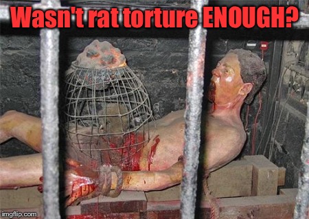 Wasn't rat torture ENOUGH? | made w/ Imgflip meme maker