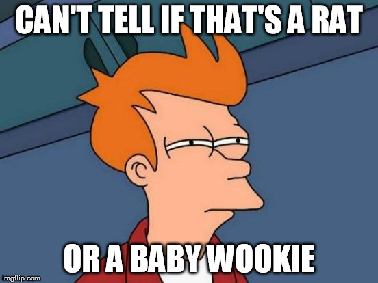 Futurama Fry Meme | CAN'T TELL IF THAT'S A RAT OR A BABY WOOKIE | image tagged in memes,futurama fry | made w/ Imgflip meme maker