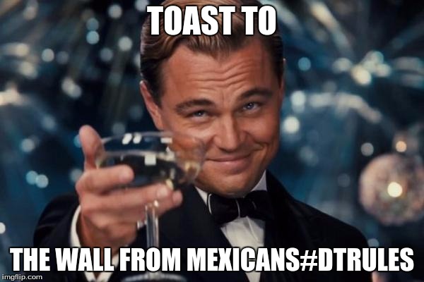 Leonardo Dicaprio Cheers | TOAST TO; THE WALL FROM MEXICANS#DTRULES | image tagged in memes,leonardo dicaprio cheers | made w/ Imgflip meme maker