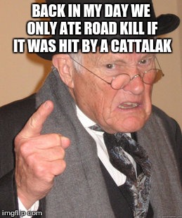 Back In My Day | BACK IN MY DAY WE ONLY ATE ROAD KILL IF IT WAS HIT BY A CATTALAK | image tagged in memes,back in my day | made w/ Imgflip meme maker