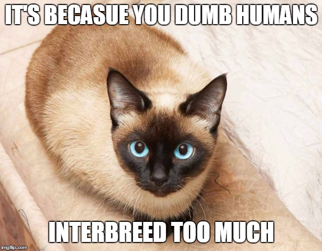 IT'S BECASUE YOU DUMB HUMANS INTERBREED TOO MUCH | made w/ Imgflip meme maker