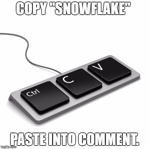 copypaste | COPY "SNOWFLAKE"; PASTE INTO COMMENT. | image tagged in copypaste | made w/ Imgflip meme maker