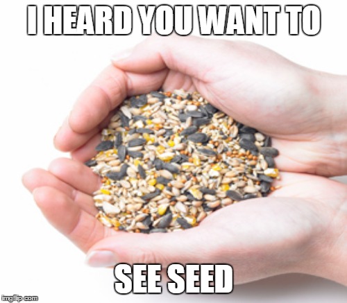 I HEARD YOU WANT TO SEE SEED | made w/ Imgflip meme maker