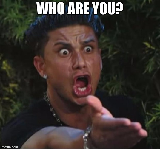 DJ Pauly D | WHO ARE YOU? | image tagged in memes,dj pauly d | made w/ Imgflip meme maker