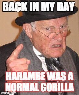 before harambe died this was true | BACK IN MY DAY; HARAMBE WAS A NORMAL GORILLA | image tagged in memes,back in my day | made w/ Imgflip meme maker