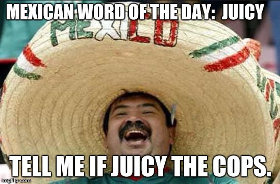 mexican word of the day | MEXICAN WORD OF THE DAY: 
JUICY; TELL ME IF JUICY THE COPS. | image tagged in mexican word of the day | made w/ Imgflip meme maker