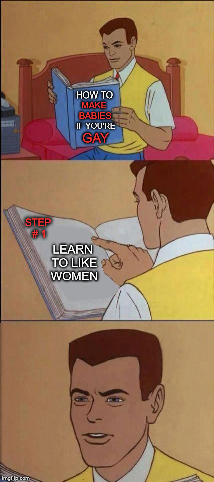 How To: Make Babies | HOW TO; MAKE BABIES; IF YOU'RE; GAY; STEP # 1; LEARN TO LIKE WOMEN | image tagged in book of idiots,first world problems,memes,political,funny,bad luck | made w/ Imgflip meme maker