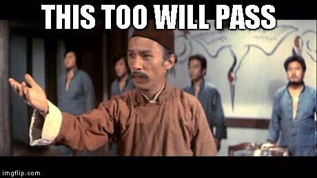 Kung Pow | THIS TOO WILL PASS | image tagged in kung pow | made w/ Imgflip meme maker
