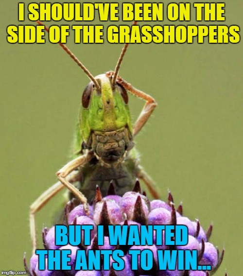 It's not easy being green... :) | I SHOULD'VE BEEN ON THE SIDE OF THE GRASSHOPPERS; BUT I WANTED THE ANTS TO WIN... | image tagged in confused grasshopper,memes,animals,a bug's life,films,grasshopper | made w/ Imgflip meme maker