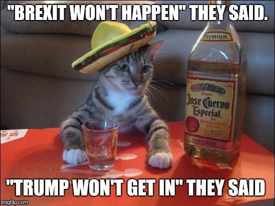 Tequila Cat | "BREXIT WON'T HAPPEN" THEY SAID. "TRUMP WON'T GET IN" THEY SAID | image tagged in tequila cat,brexit,trump | made w/ Imgflip meme maker