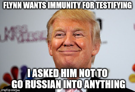 Donald trump approves | FLYNN WANTS IMMUNITY FOR TESTIFYING; I ASKED HIM NOT TO GO RUSSIAN INTO ANYTHING | image tagged in donald trump approves | made w/ Imgflip meme maker
