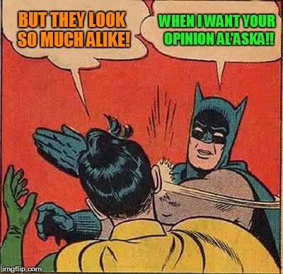 Batman Slapping Robin Meme | BUT THEY LOOK SO MUCH ALIKE! WHEN I WANT YOUR OPINION AL'ASKA!! | image tagged in memes,batman slapping robin | made w/ Imgflip meme maker