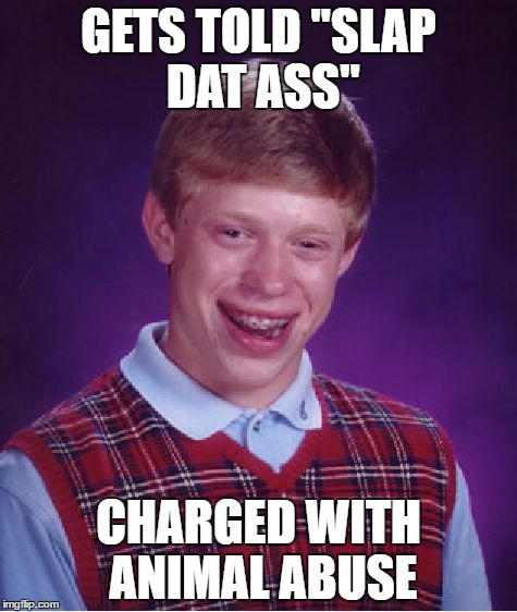 When you take too literally | GETS TOLD "SLAP DAT ASS"; CHARGED WITH ANIMAL ABUSE | image tagged in memes,bad luck brian,abuse,funny,innuendo,ironic | made w/ Imgflip meme maker