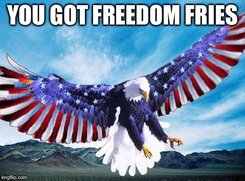 Freedom eagle | YOU GOT FREEDOM FRIES | image tagged in freedom eagle | made w/ Imgflip meme maker