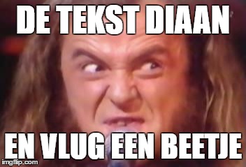 DE TEKST DIAAN; EN VLUG EEN BEETJE | made w/ Imgflip meme maker
