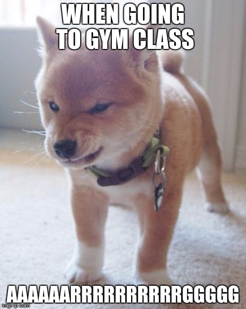 Angery | WHEN GOING TO GYM CLASS; AAAAAARRRRRRRRRRGGGGG | image tagged in angery | made w/ Imgflip meme maker