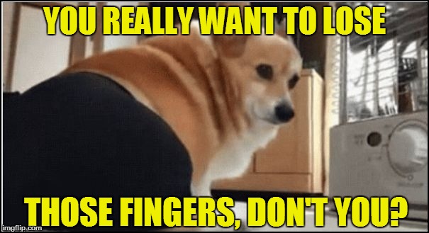 YOU REALLY WANT TO LOSE THOSE FINGERS, DON'T YOU? | made w/ Imgflip meme maker