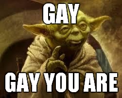 yoda | GAY; GAY YOU ARE | image tagged in yoda | made w/ Imgflip meme maker