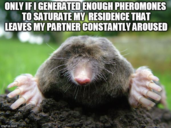 ONLY IF I GENERATED ENOUGH PHEROMONES TO SATURATE MY  RESIDENCE THAT LEAVES MY PARTNER CONSTANTLY AROUSED | made w/ Imgflip meme maker