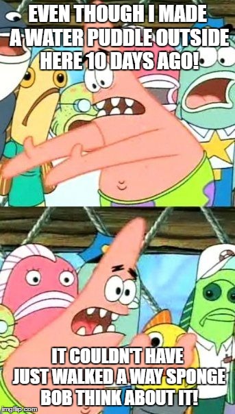 Put It Somewhere Else Patrick | EVEN THOUGH I MADE A WATER PUDDLE OUTSIDE HERE 10 DAYS AGO! IT COULDN'T HAVE JUST WALKED A WAY SPONGE BOB THINK ABOUT IT! | image tagged in memes,put it somewhere else patrick | made w/ Imgflip meme maker