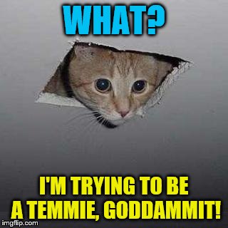 Ceiling Cat Meme | WHAT? I'M TRYING TO BE A TEMMIE, GODDAMMIT! | image tagged in memes,ceiling cat | made w/ Imgflip meme maker