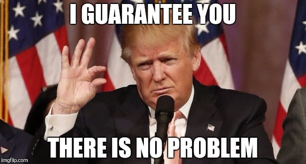 I GUARANTEE YOU; THERE IS NO PROBLEM | image tagged in tiny | made w/ Imgflip meme maker