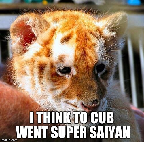 Super Cub  | I THINK TO CUB WENT SUPER SAIYAN | image tagged in memes,funny | made w/ Imgflip meme maker