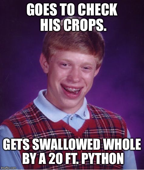 Bad Luck Brian | GOES TO CHECK HIS CROPS. GETS SWALLOWED WHOLE BY A 20 FT. PYTHON | image tagged in memes,bad luck brian,sad,true story,animals,breaking news | made w/ Imgflip meme maker