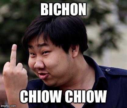 Chinese middle finger | BICHON; CHIOW CHIOW | image tagged in chinese middle finger | made w/ Imgflip meme maker